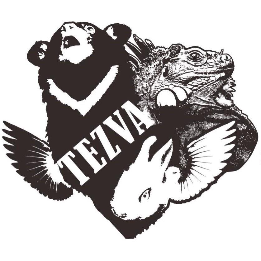 TEZVA